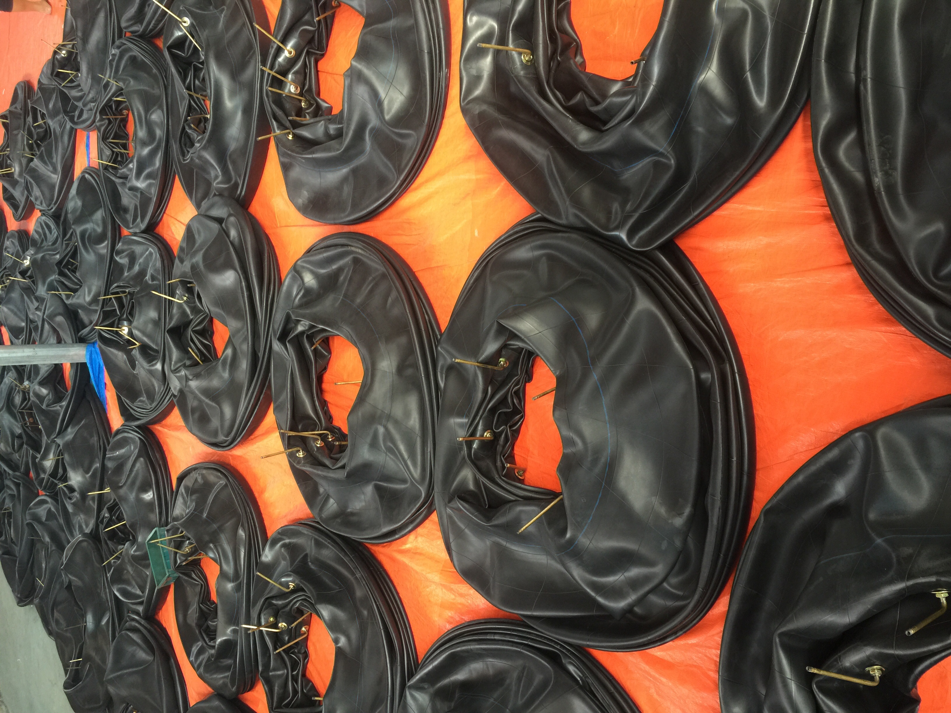 ������������̥